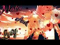 AMV~NaLu~9 жизней~