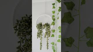 26 Violet Avenue, Newthorpe