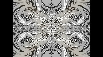 drawing timelapse mirror tool corel painter 2016