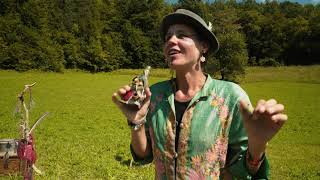 Čarovniski Blues Magični Uroki Predzgodba