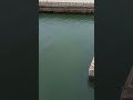 永安漁港
