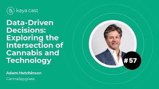 Data-Driven Decisions: Exploring the Intersection of Cannabis and Technology