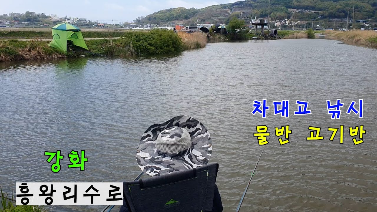 강화 흥왕리 수로에서 최대(최다) 손맛 느끼고 왔습니다. 풍경이 아름다워 힐링할수 있는 곳입니다. 영상에 