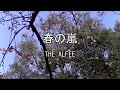 2026-3-17 春の嵐/THE ALFEE(天神山公園の山桜)