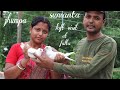 Pigeon lover sumanta  jhumpa  parui loft visit at falta   south 24 parganas   8348369653