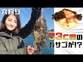 【穴釣り】これが五島の本気だ！３３cmのカサゴを釣って食べる【五島列島】