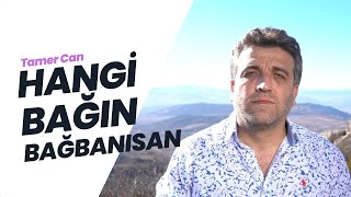 Tamer Can - Hangi Bağın Bağbanısan Gülüsen (Canlı Performans) Resimi