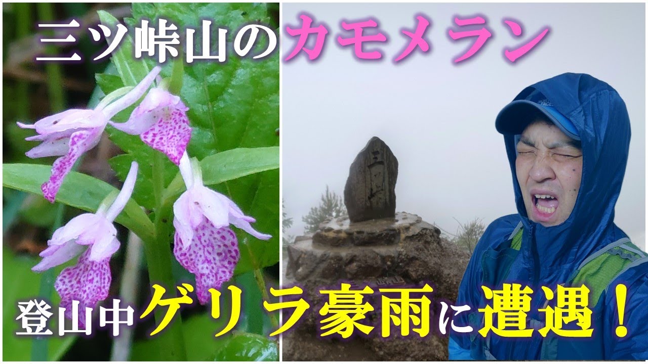 登山中ゲリラ豪雨に遭遇しました！【三ツ峠山のカモメラン】（2024/6/2