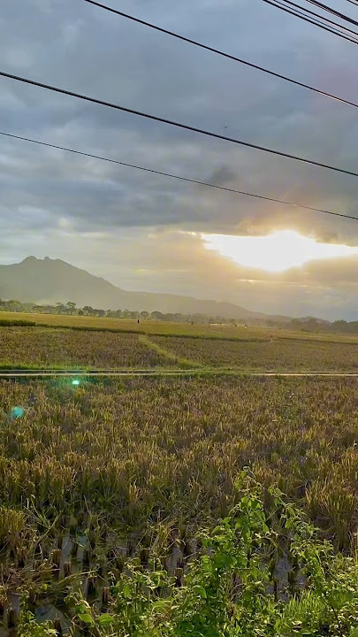 Dj Tiwas Tak Gondeli Tenanan | Kisinan ( Lagu Viral Tiktok )