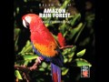 Relax With... Amazon Rain Forest (Enhanced With Music)