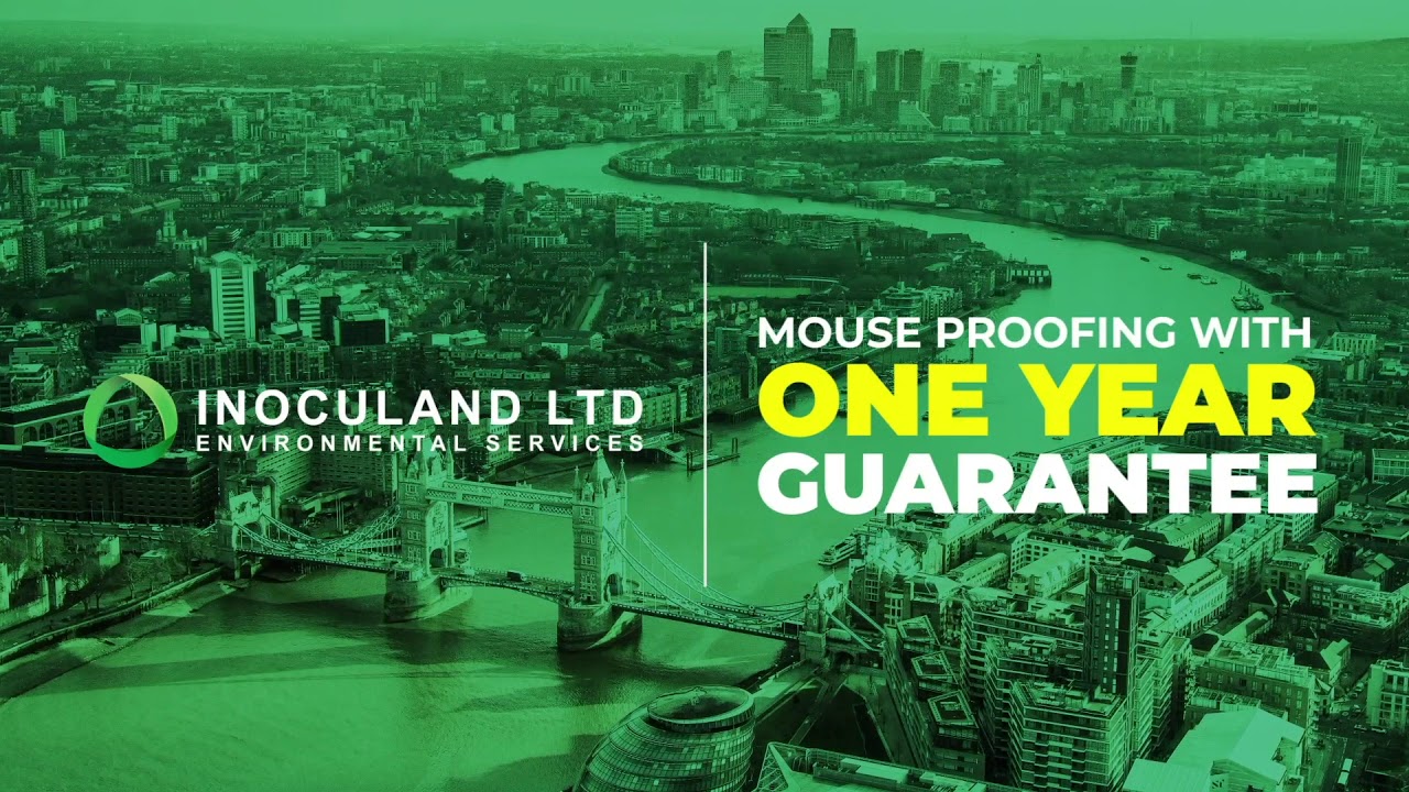 Professional Pest Control Services in London · Inoculand Pest Control