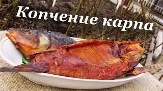 Копчение карпа, коптильня горячего копчения(Копчение карпа в домашних условиях, коптильня горячего копчения http://koptim.com.ua - коптильня горячего копчения..., 2015-03-21T11:29:56.000Z)