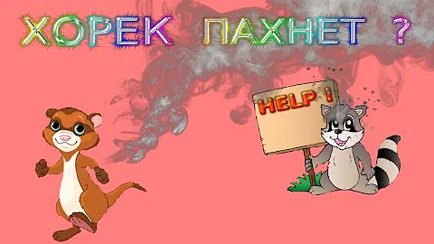 Запах от хорька.Хорьки воняют!?Как избавиться от запаха!?#хореквоняет#