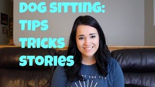 Dog Sitting: Tips, Tricks, and Stories