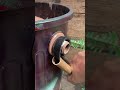 Flanges Will Come Off Easily Now #Mechanic #Tools #Workshop #DIY #LifeHack