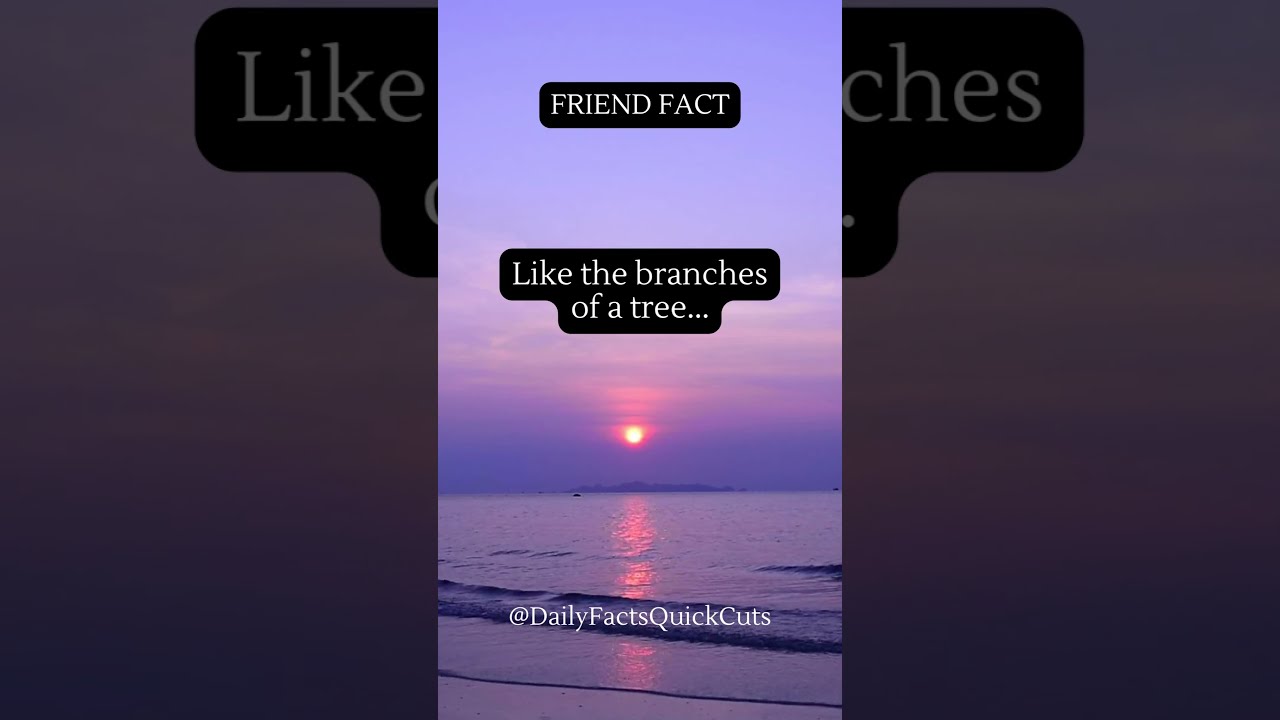 Unveiling the Fascinating Friend Fact Insights into the Science of Friendship