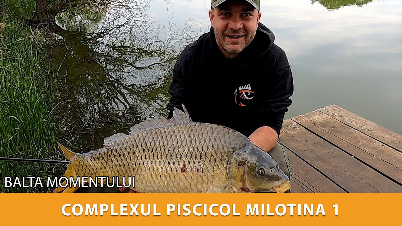 Pescuit la crap pe Milotina 1 - balta care m-a surprins din toate punctele de vedere!