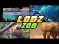 Zoo d  orientarium zoo od  poland 4k