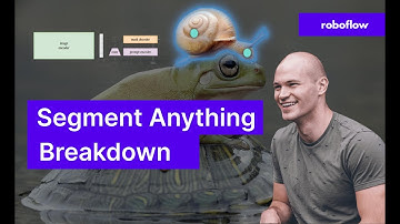 Segment Anything Model (SAM) Breakdown | Computer Vision Breakthrough