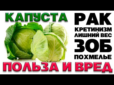 БЕЛОКОЧАННАЯ КАПУСТА - ПОЛЬЗА И ВРЕД (ЧТО СКРЫВАЕТ В СЕБЕ СВЕЖАЯ КАПУСТА)