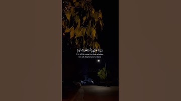واذا قيل لهم تعالوا يستغفر لكم رسول الله | سورة المنافقون | محمد صديق المنشاوي