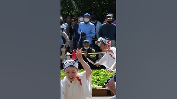 Thumbnail of Japanese traditional dance Awa odori. #shorts
