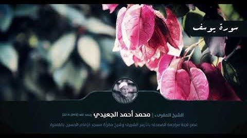 سورة يوسف || الشيخ المقرئ محمد أحمد الجعيدي رحمه الله