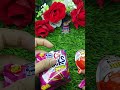 Chocolate opening 🍫🍫 | satisfying | unboxing #shortvedeo #shortsviral