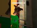 Aree ye kaha chdi hui hai kaali 😮🥰❤️ #trending #funny #shorts #dog