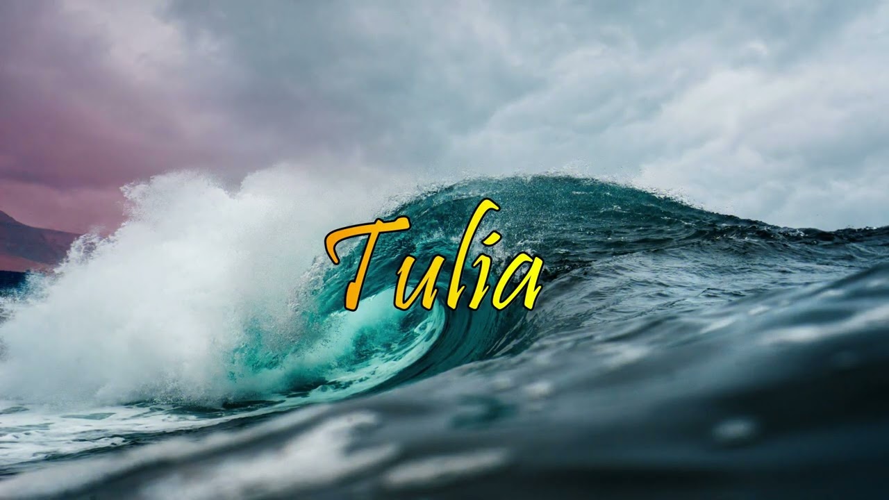 TULIA LYRICS VIDEO  BY MSANII MUSIC GROUP