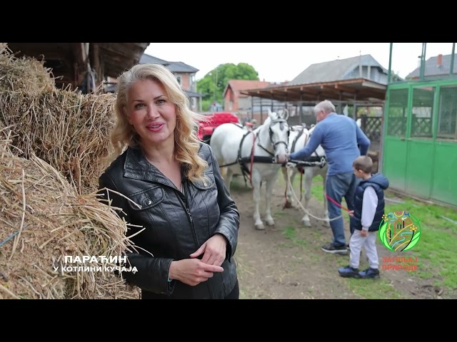 PARAĆIN, u kotlini KUČAJA | Zagrljaj prirode | Balkan Trip TV