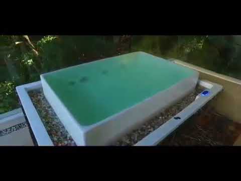 2781363 160 472 876 307256740 4