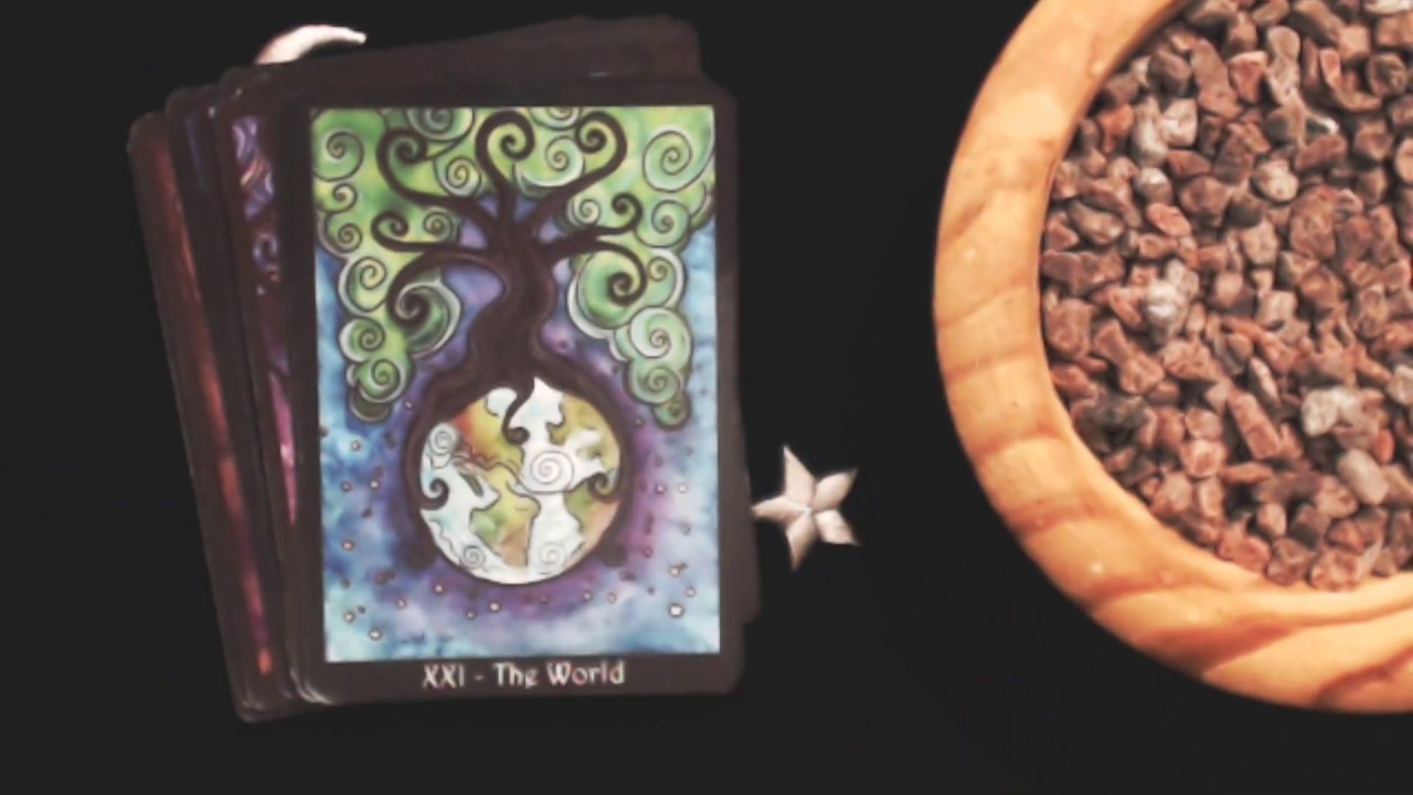 The Tarot of Trees (Dana O'Driscoll) No talk flip through