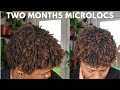 DIY MICROLOCS NO GRID | TWO MONTHS UPDATE | BRAIDSLOCS #naturalwoman #locs