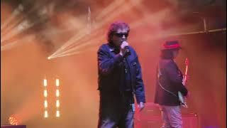 Lady Pank - Drzewa (Sosnowiec Fun Festival 2025, 08.06.2025)