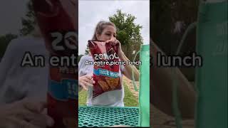 Field Trip Lunches Pamacake