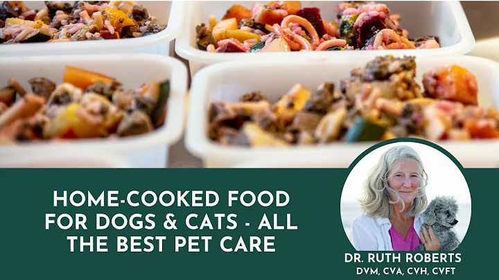 Home-Cooked Food for Dogs & Cats - All The Best Pe...