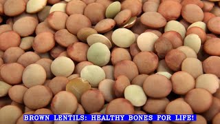 Brown Lentils: Healthy Bones for Life