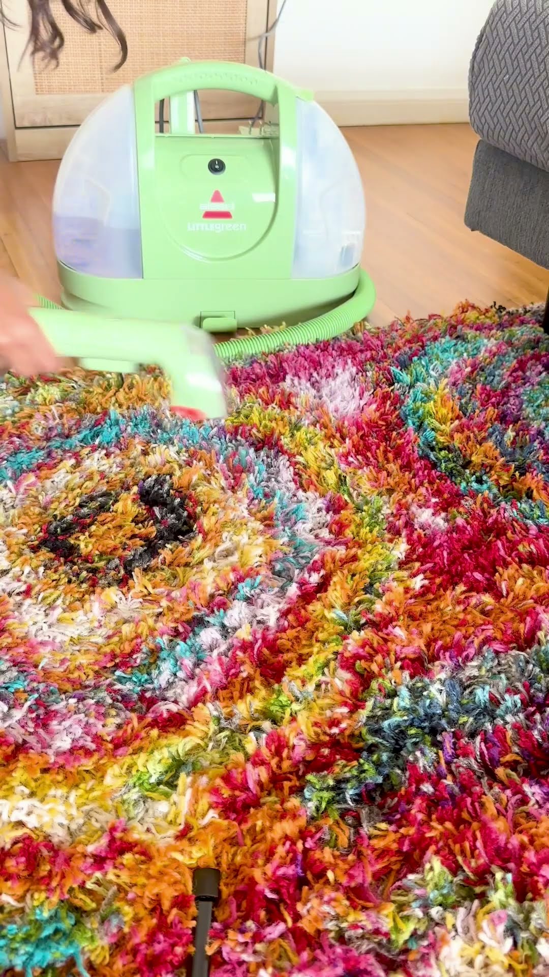 The Best Rug Cleaner for Pet Parents | The Pack