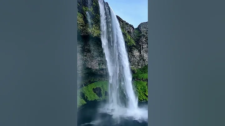 #lifelessons #shortsfeed #shorts #viral #shortsyoutube