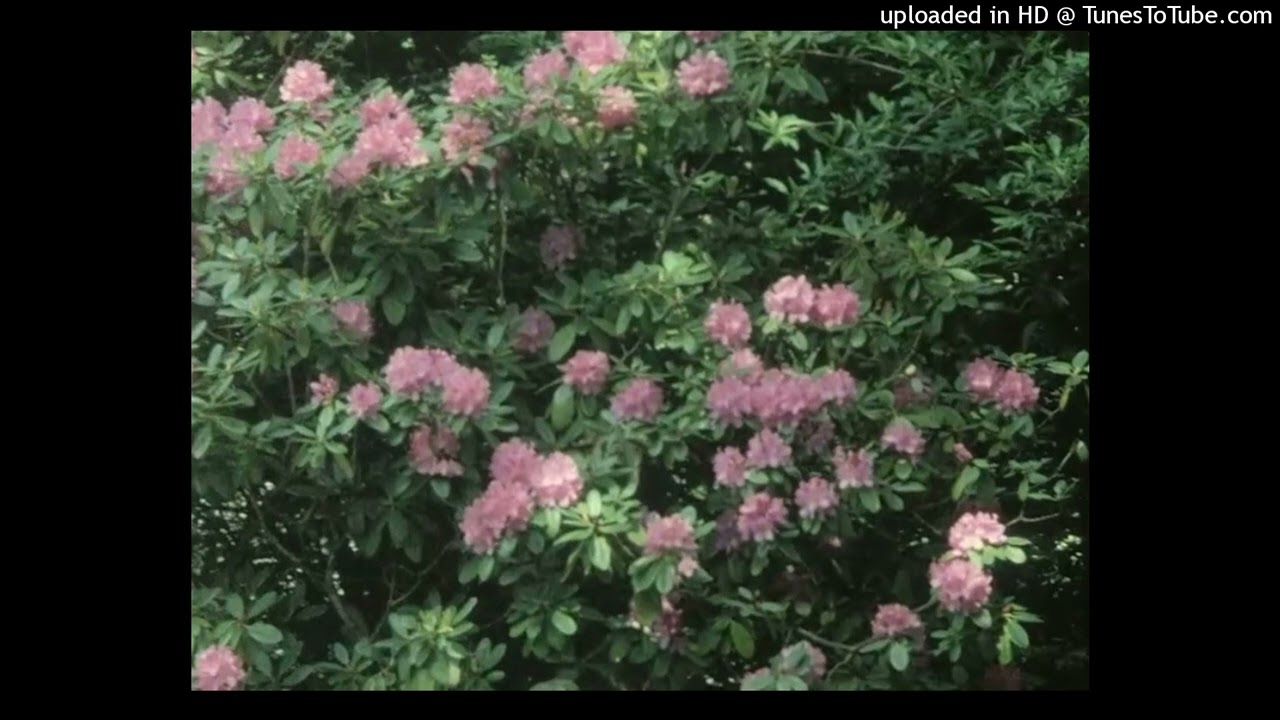 [free] lil peep x cold hart type beat - euphoria (prod. sheoda)