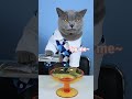 SUPER Satisfying Video Makes You Relaxed!!😍😍❤| Oddly Satisfying Tiktok #funnycat #shorts