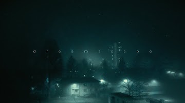 since 1993 - a fever dream