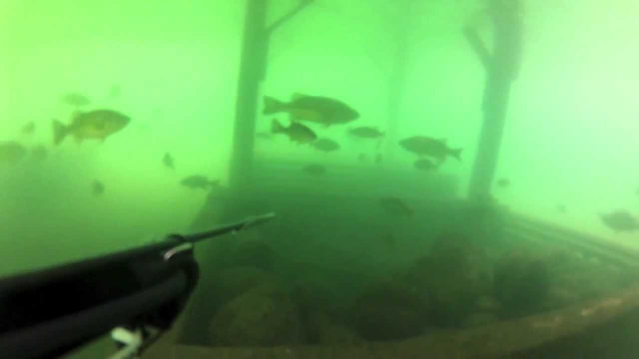 Wisconsin Spearfishing Adventure Day 2 YouTube