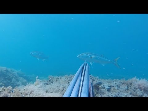 Podvodni ribolov - strijelke 2019