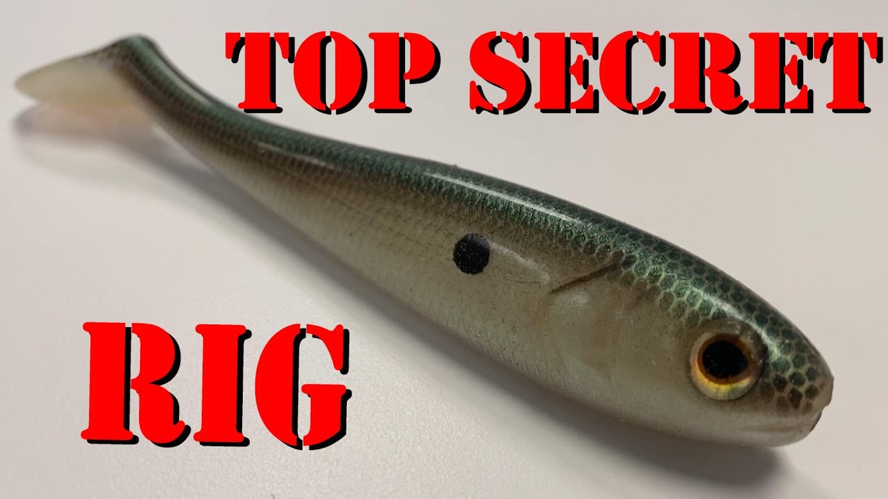 How To Fish EVERY Soft Plastic Lure - (Best Practices To Catch MORE Bass) 