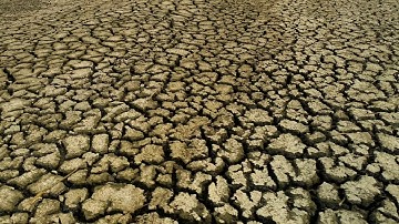 111. Al-Masad, Svenska, Raad Al-Kurdi, سورة المسد رعد الكردي