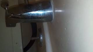 Dewey Tranny from 404 in my BATHTUB ??  WHAT THE FUCK!
