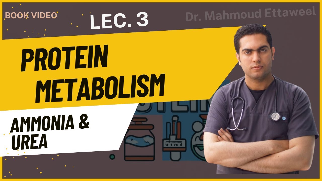 Protein Metabolism (Book) - lecture.3 - Aammonia & urea (Urea Cycle) - Dr. Mahmoud Ettaweel