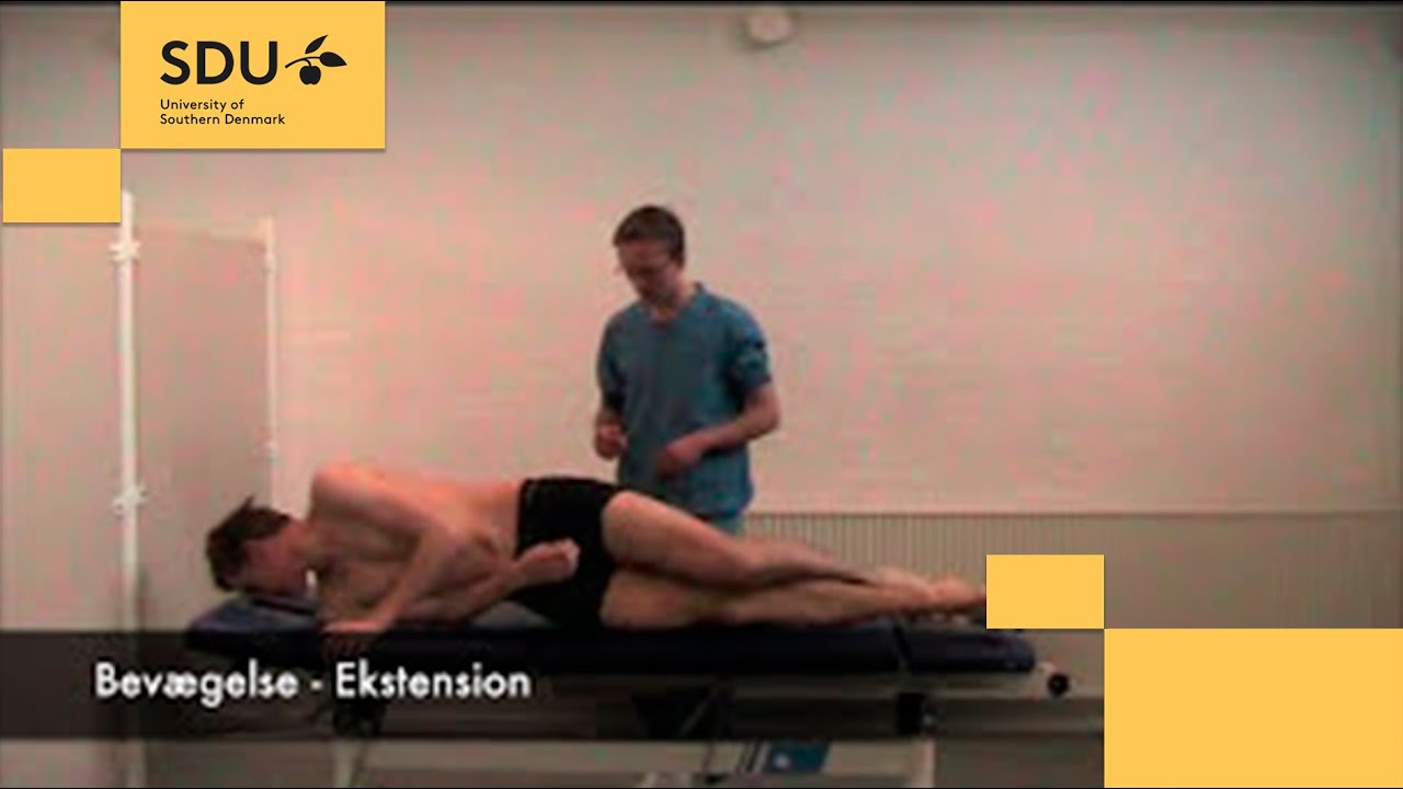 Objektiv Hofteundersøgelse